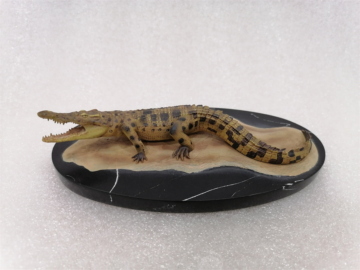 Memory Museum x Planet Earth 1/15 Young Crocodile Statue