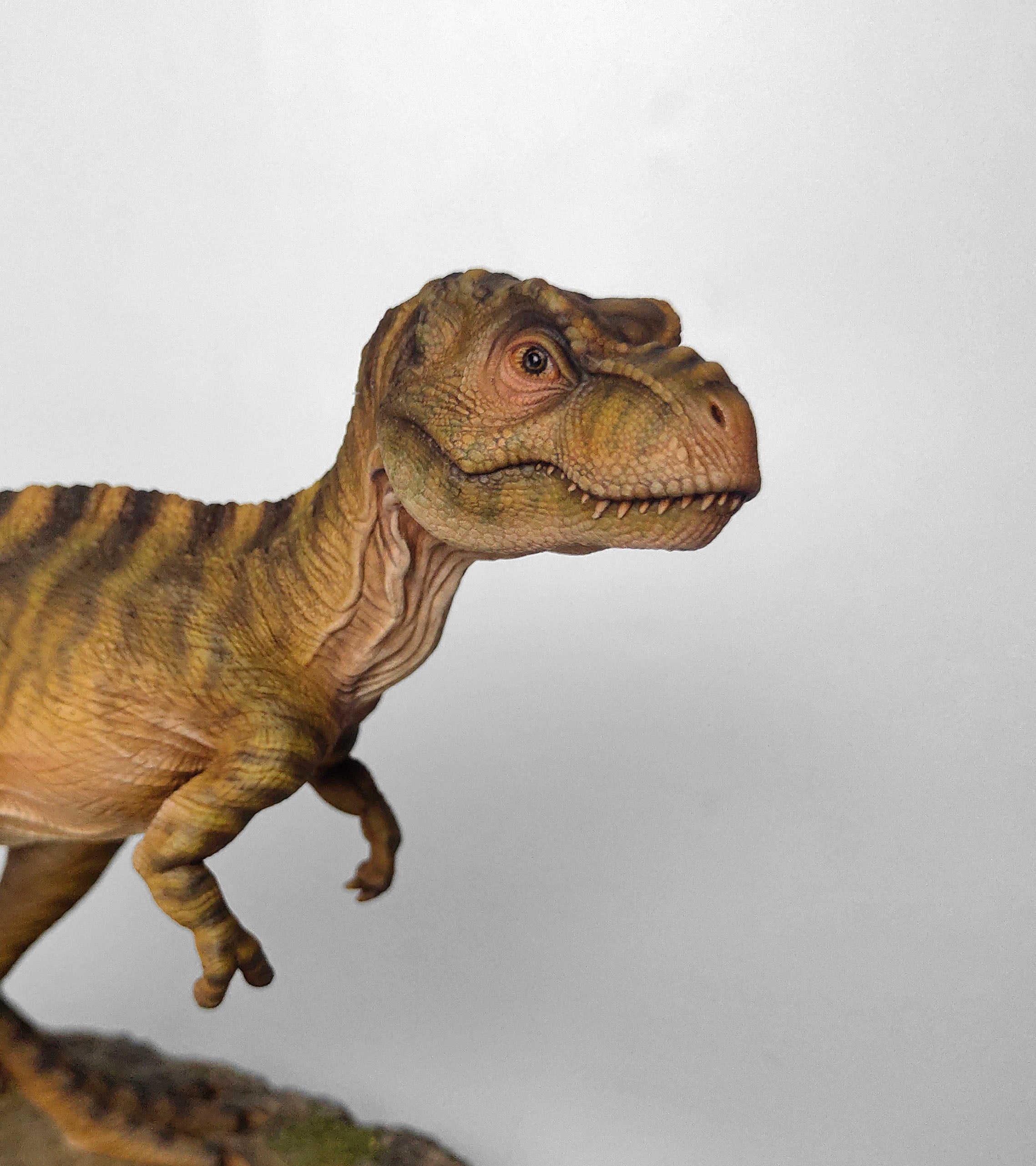 JM Baby Tyrannosaurus Rex Model