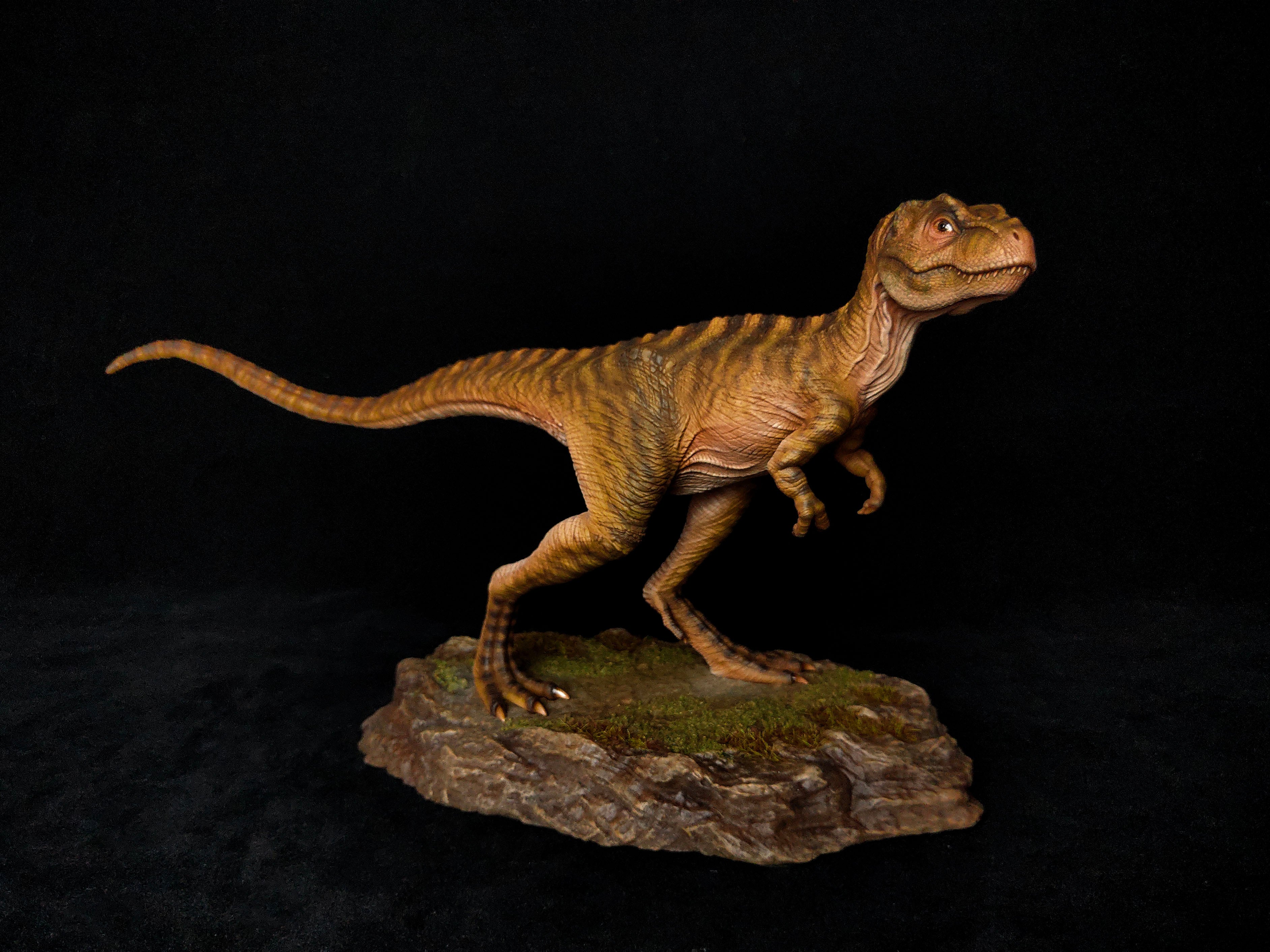 JM Baby Tyrannosaurus Rex Model