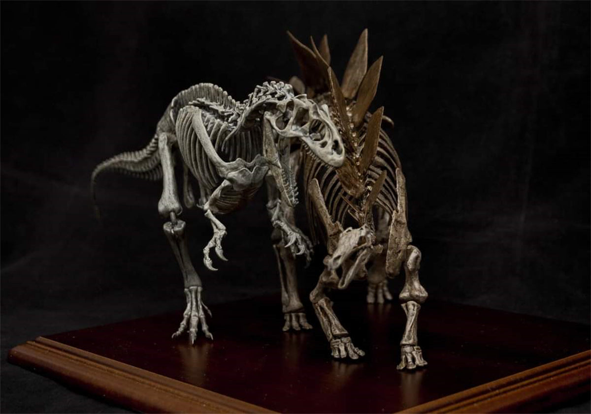 Stegosaurus VS Allosaurus Skeleton Model