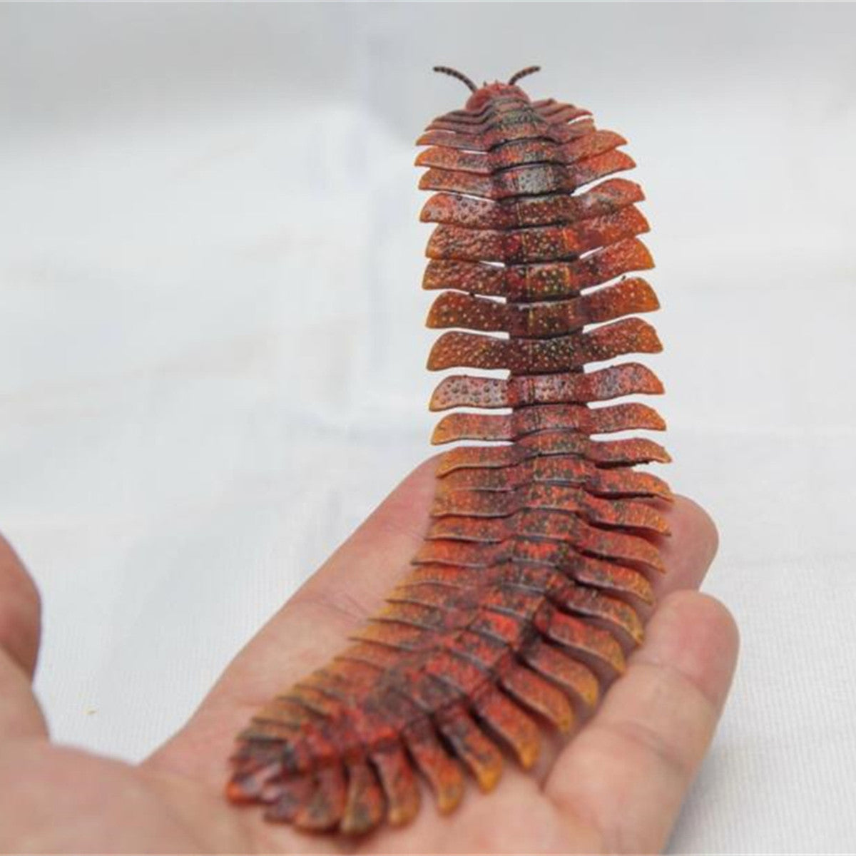 Arthropleura Model