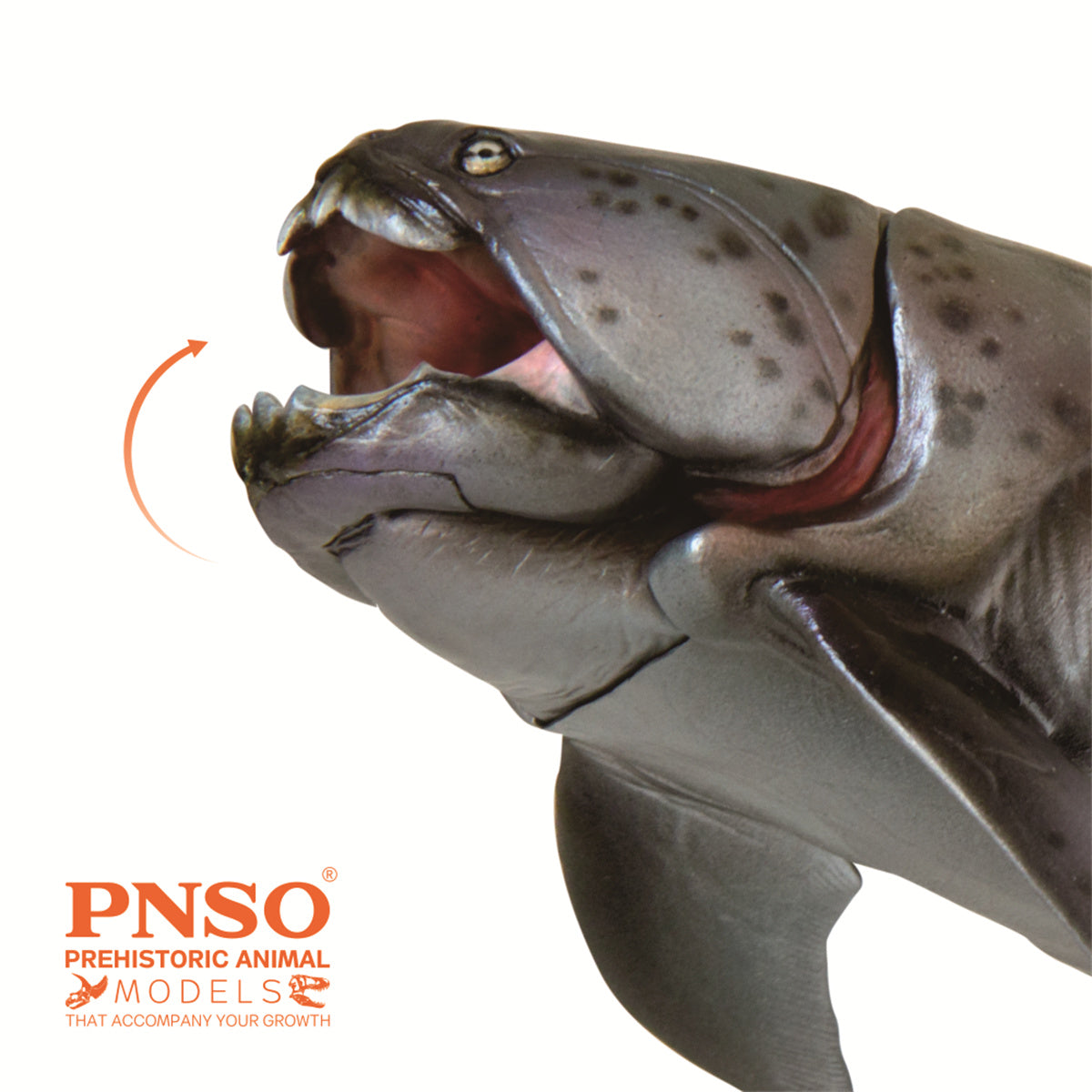 PNSO Dunkleosteus Zaha Model