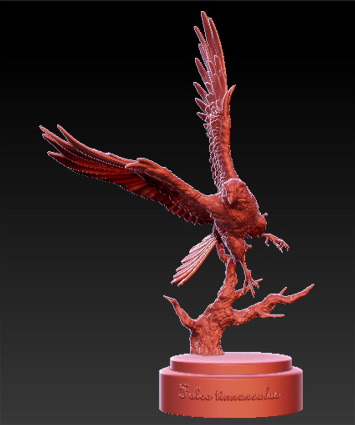 1/3 Common Kestrel Unpainted Model