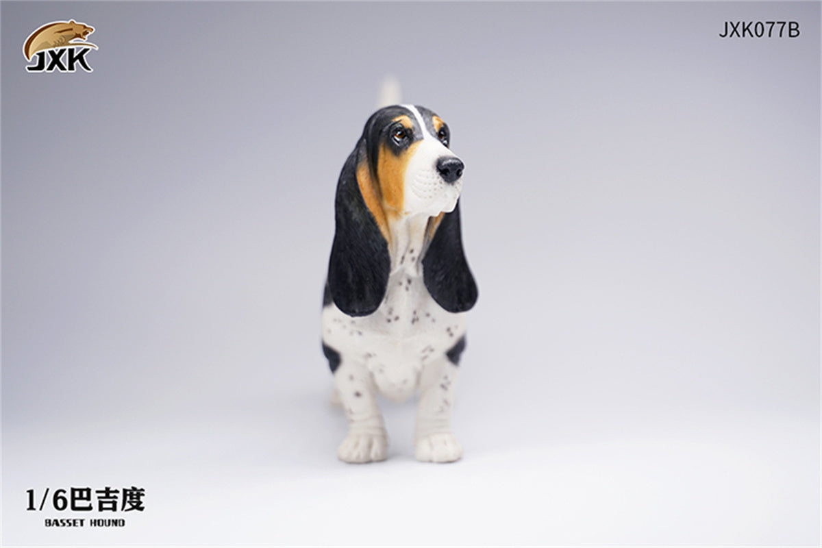 JXK 1/6 Basset Hound Model