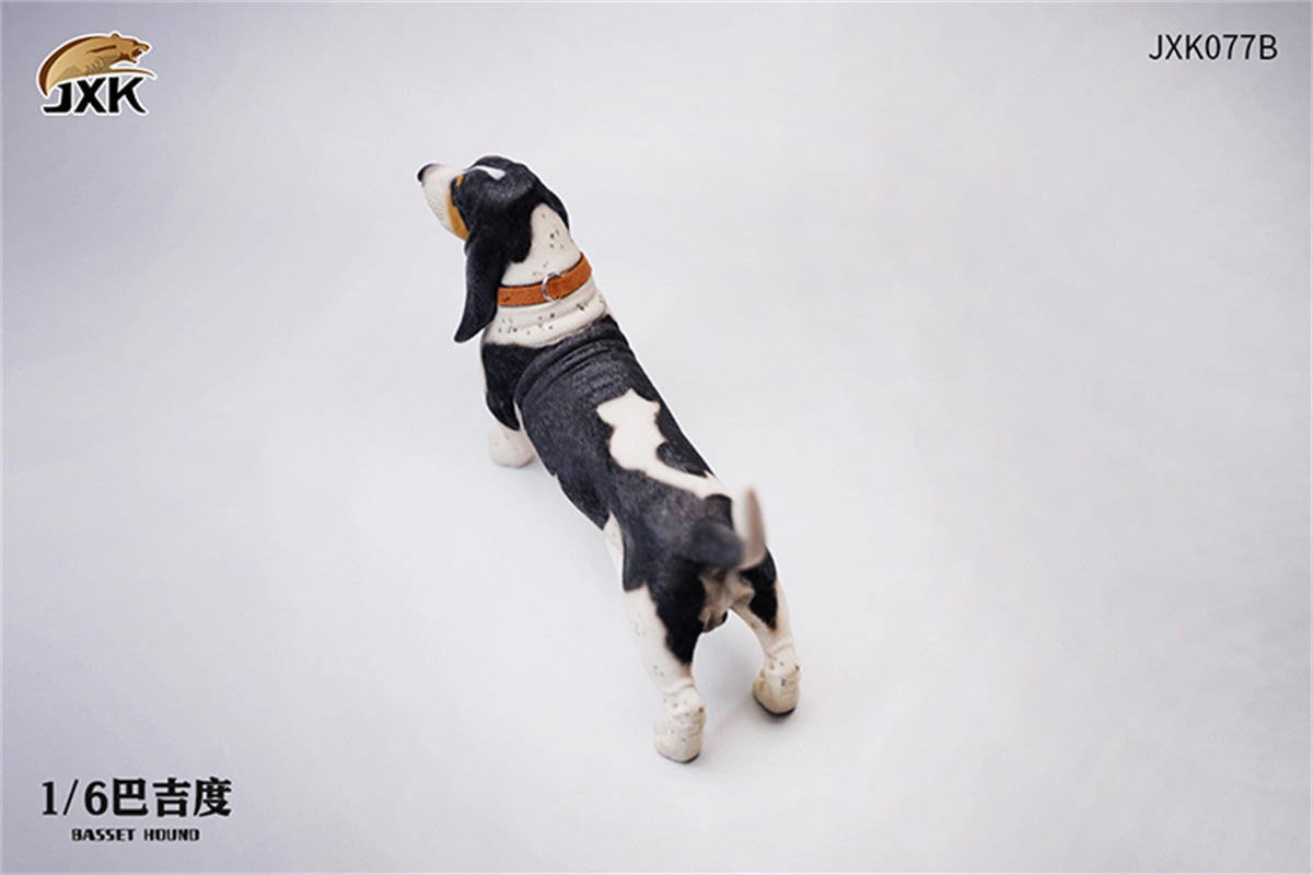JXK 1/6 Basset Hound Model