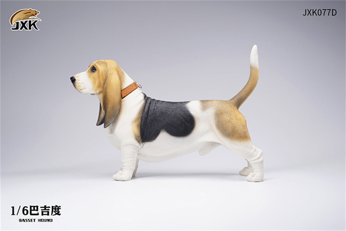 JXK 1/6 Basset Hound Model