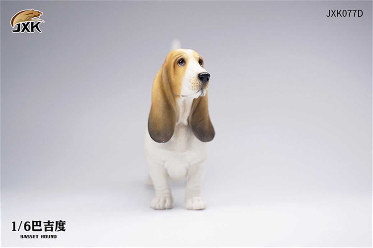 JXK 1/6 Basset Hound Model