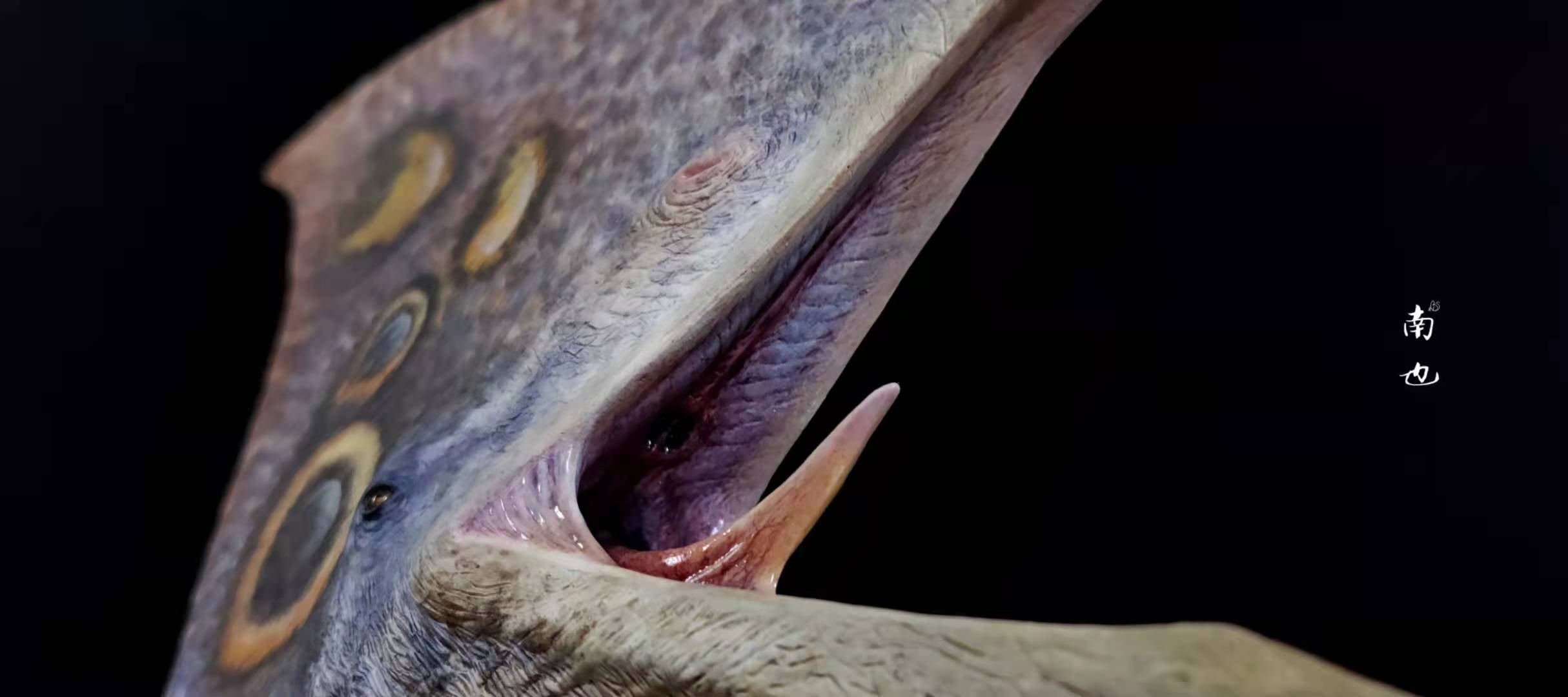 MuSee 1/6 Tupandactylus Statue Painted Version