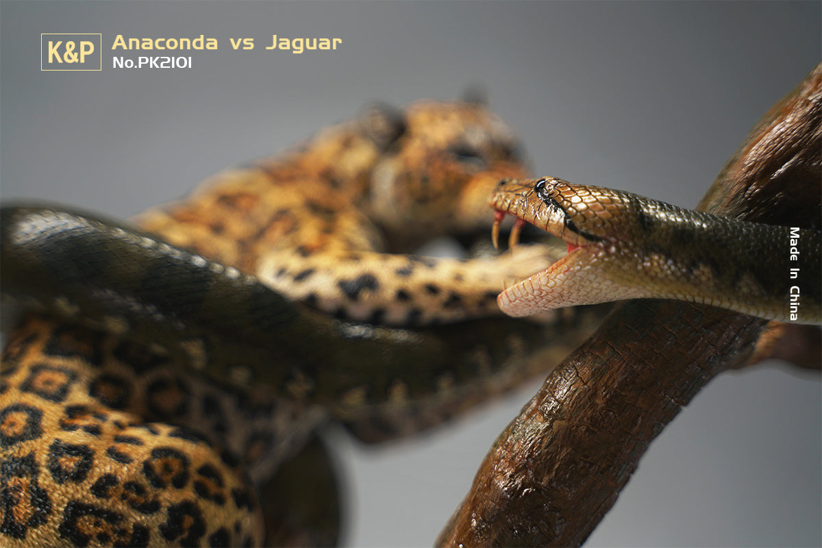 K&P 1/6 Anaconda VS Panthera onca Scene Statue