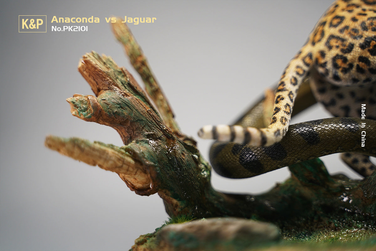 K&P 1/6 Anaconda VS Panthera onca Scene Statue