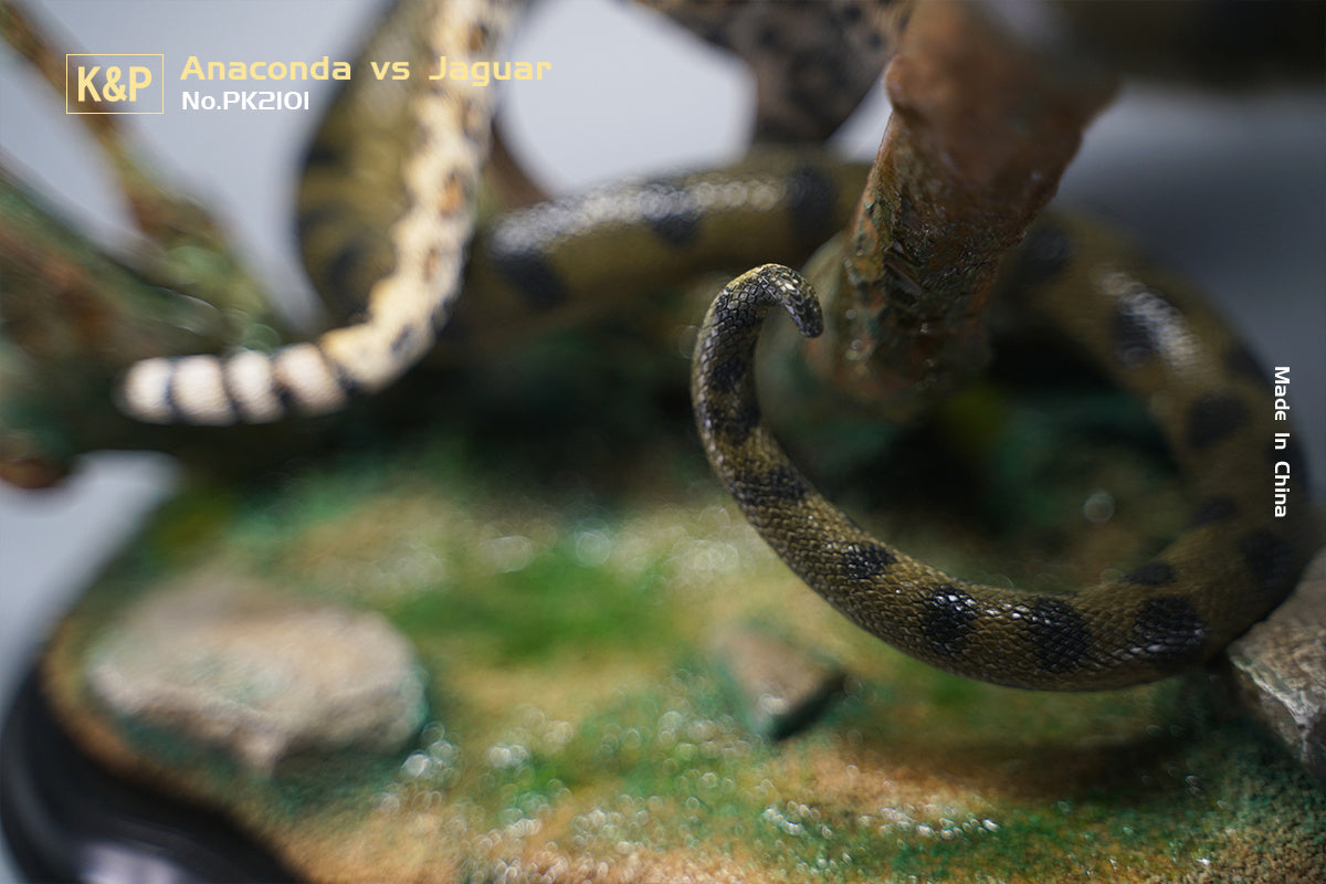 K&P 1/6 Anaconda VS Panthera onca Scene Statue