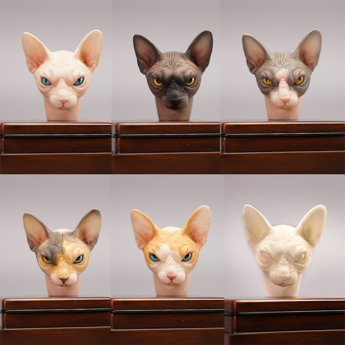 Mostoys 1/6 Sphynx Head Figure