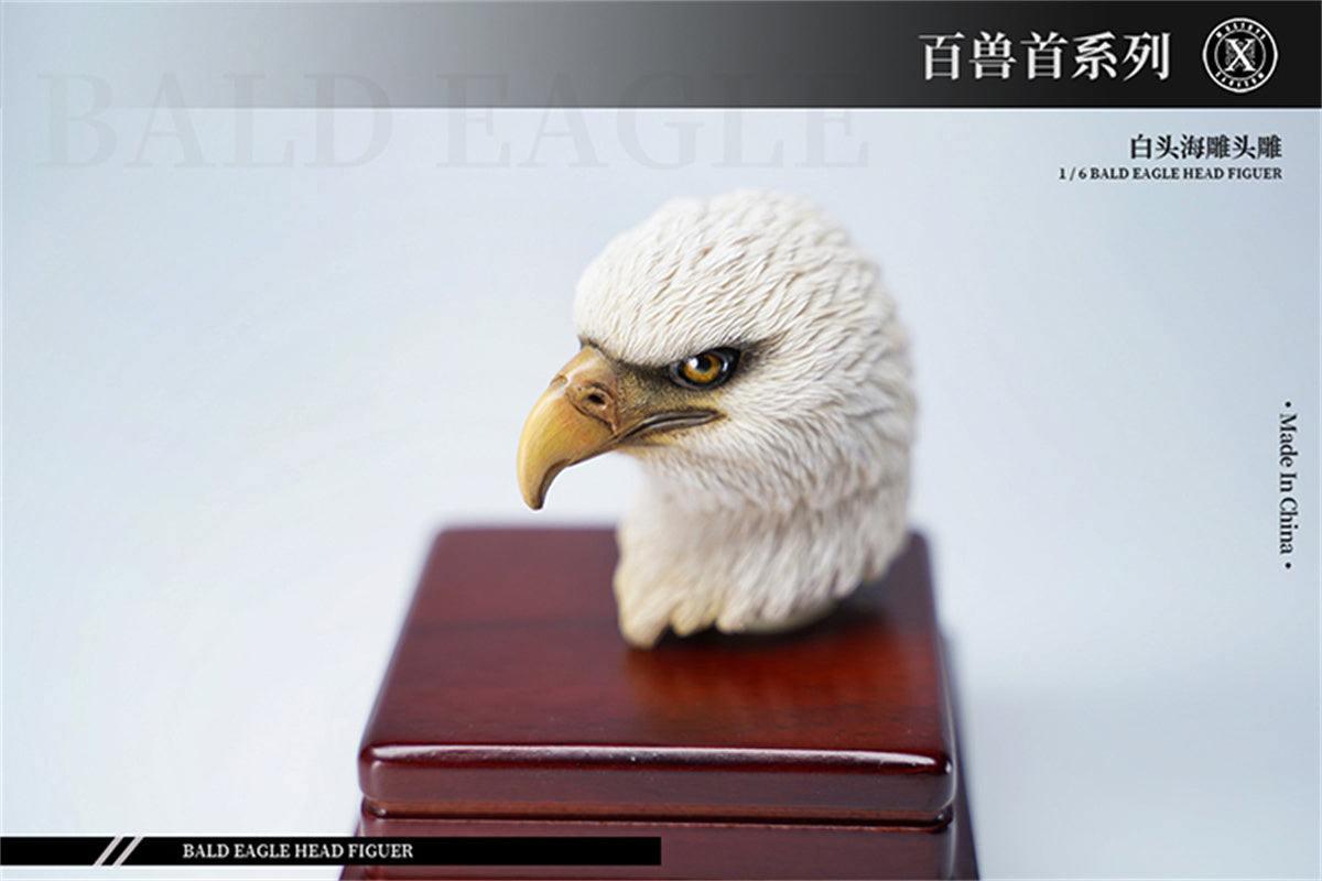 Mostoys 1/6 Bald Eagle Head Model