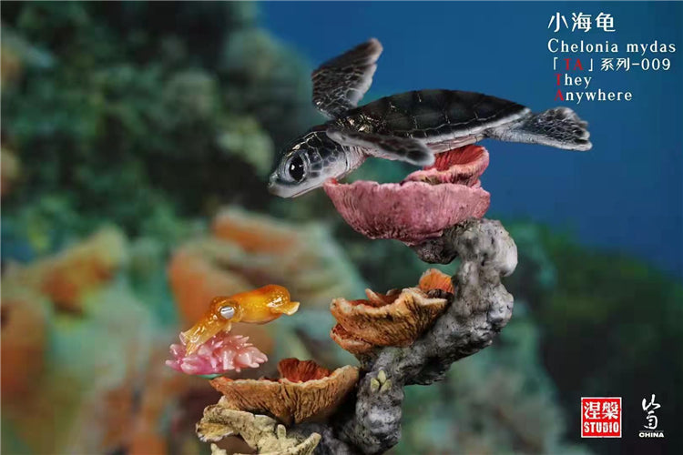Chelonia Mydas Scene Model