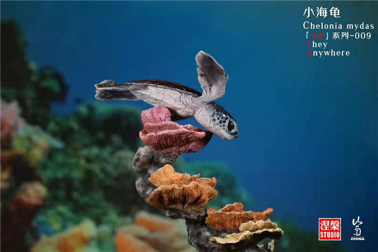 Chelonia Mydas Scene Model