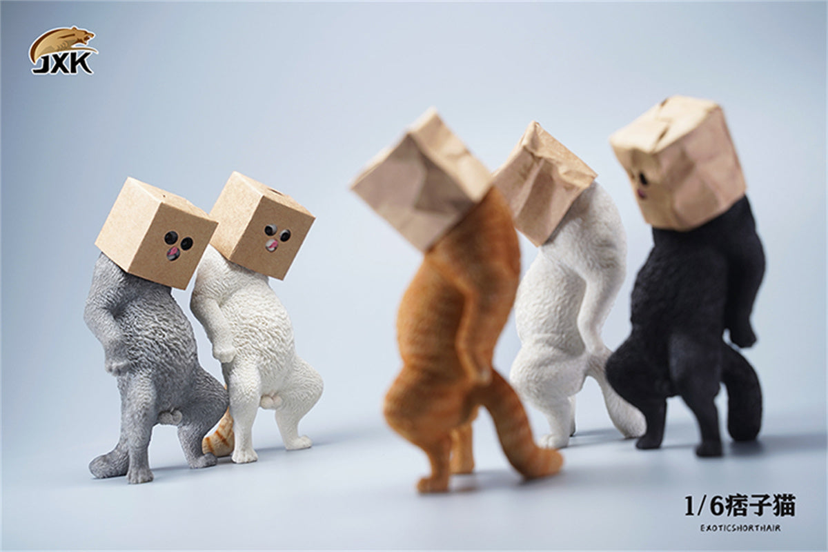 JXK 1/6 ExoticShorthair Model