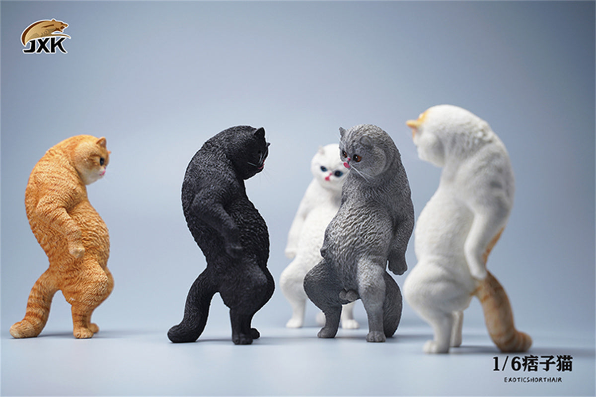 JXK 1/6 ExoticShorthair Model