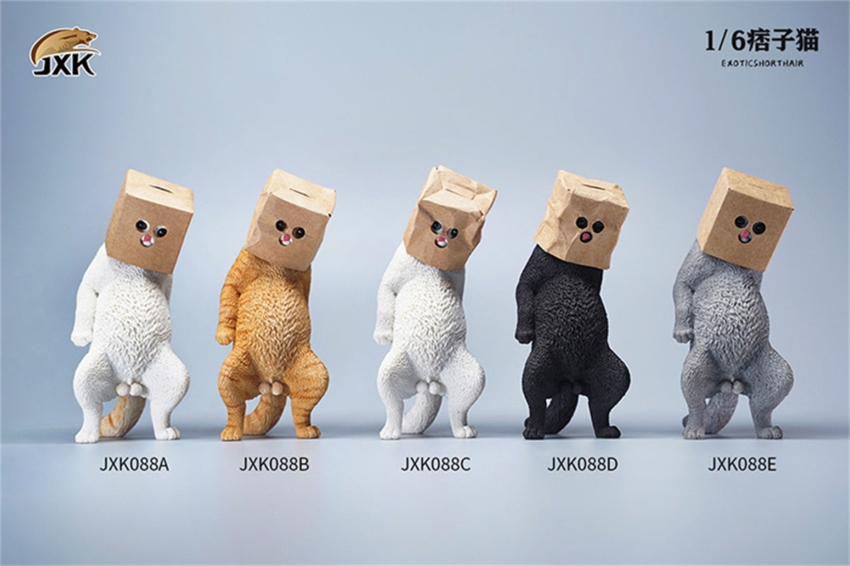 JXK 1/6 ExoticShorthair Model