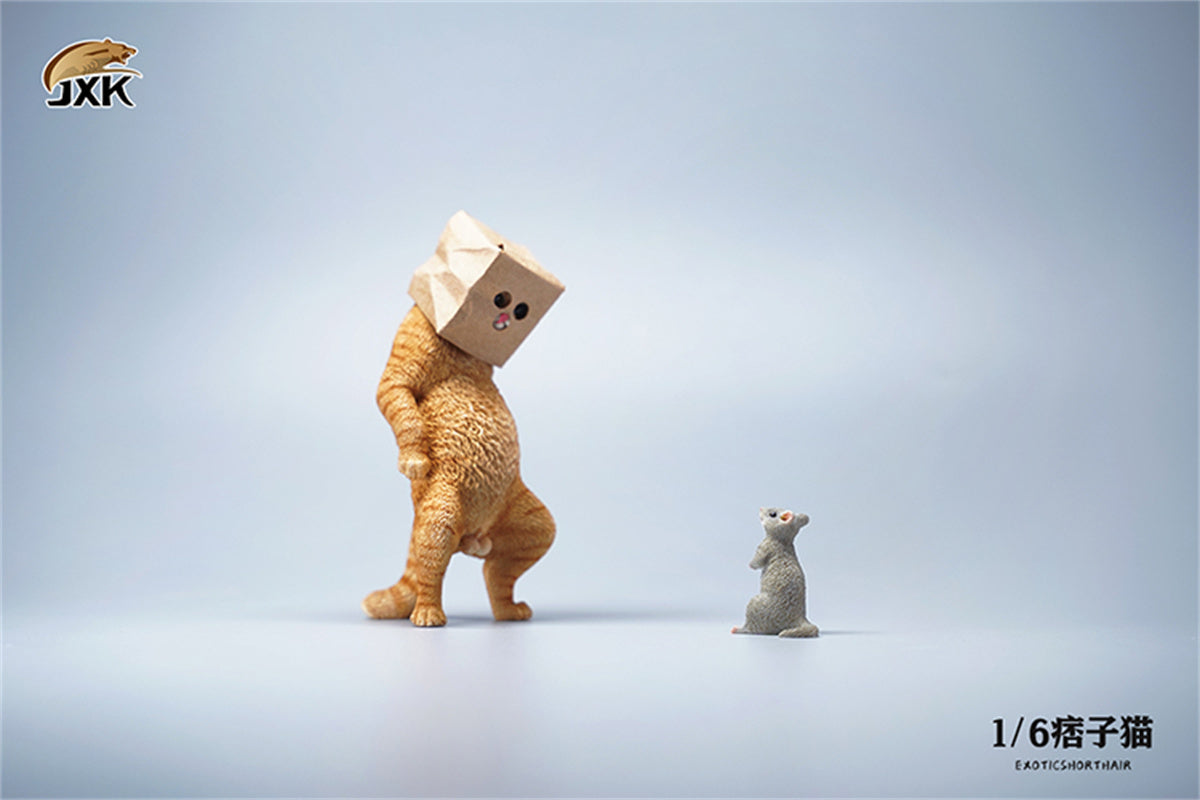 JXK 1/6 ExoticShorthair Model