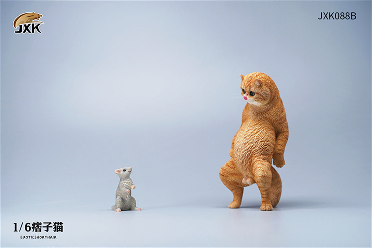 JXK 1/6 ExoticShorthair Model