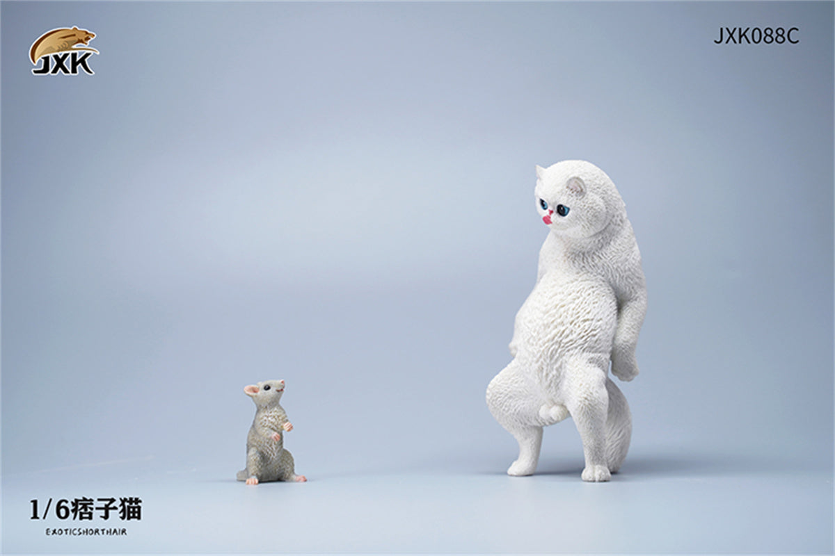 JXK 1/6 ExoticShorthair Model