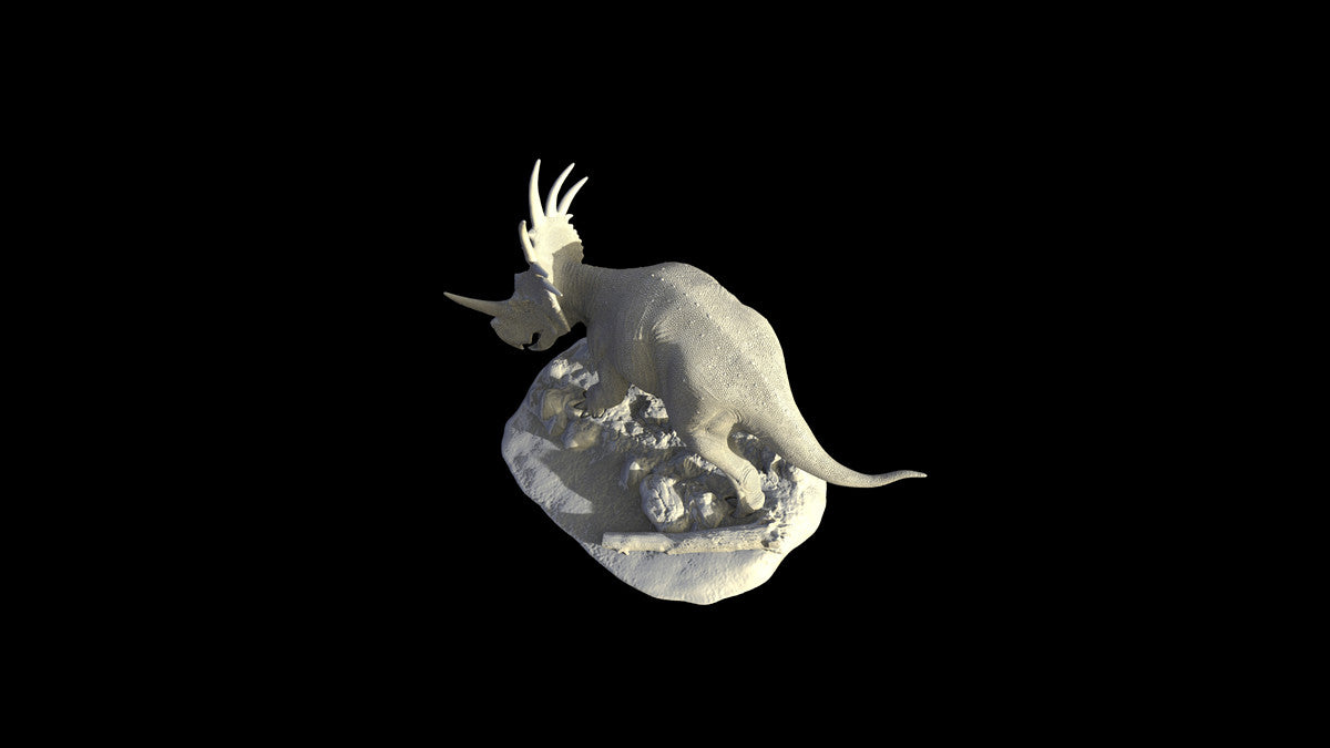 Yuangu Styracosaurus Model