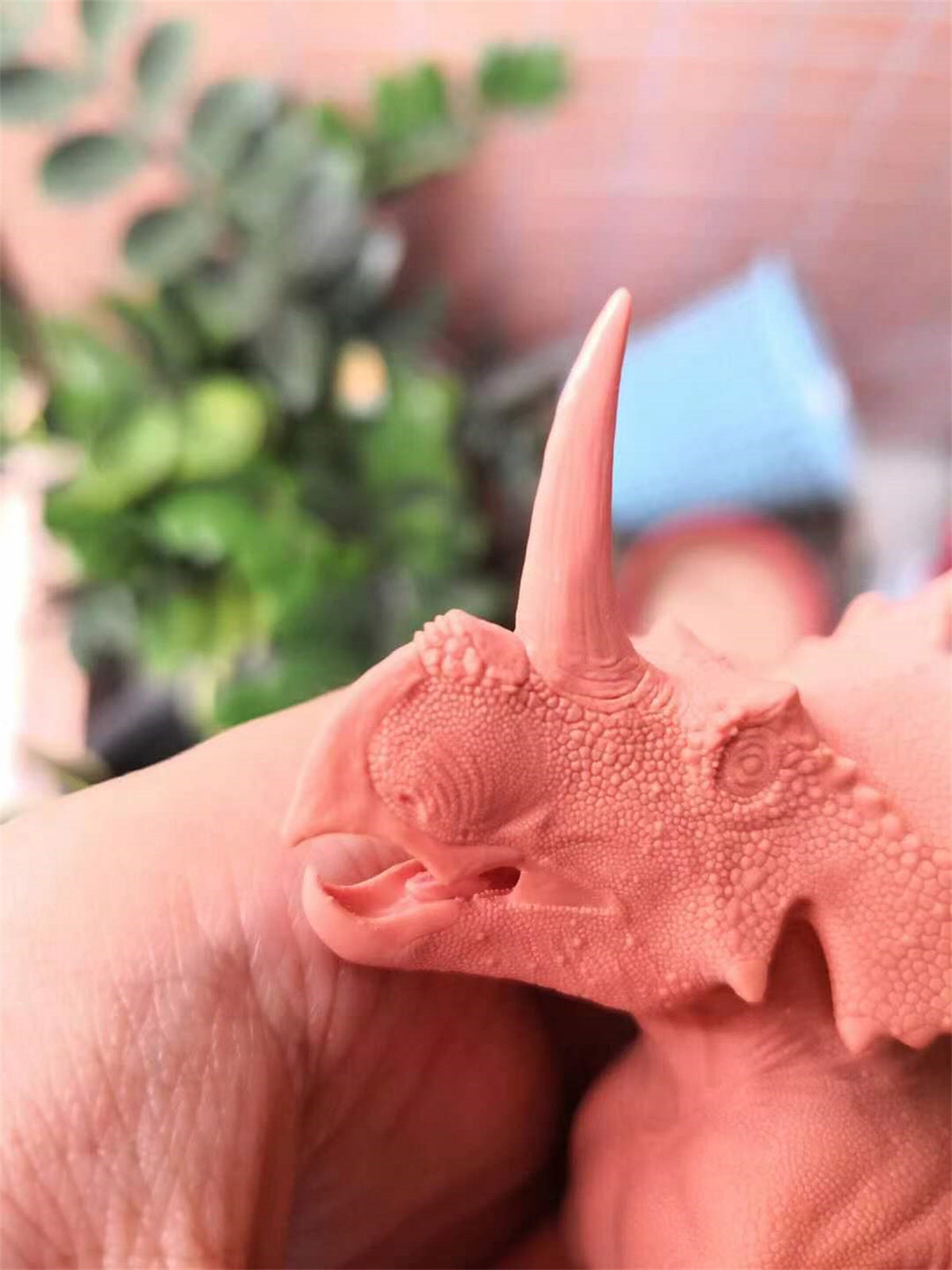 Yuangu Styracosaurus Model