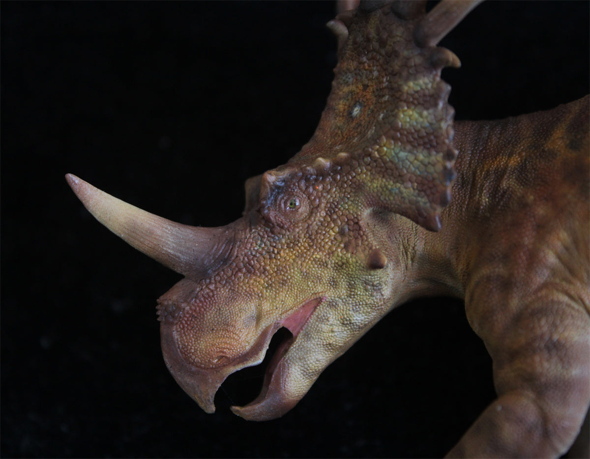 Yuangu Styracosaurus Model