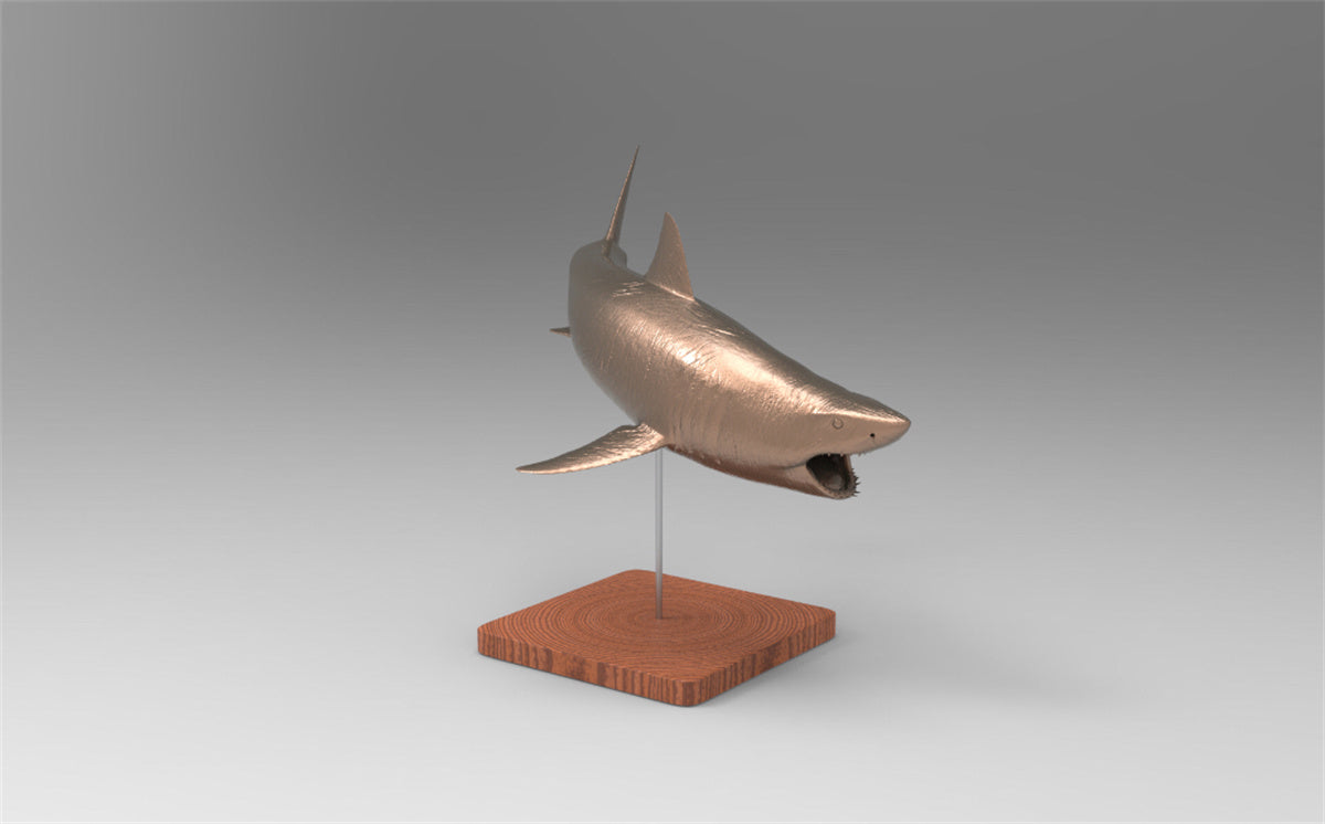 Rheic 1/35 Great White Shark Model