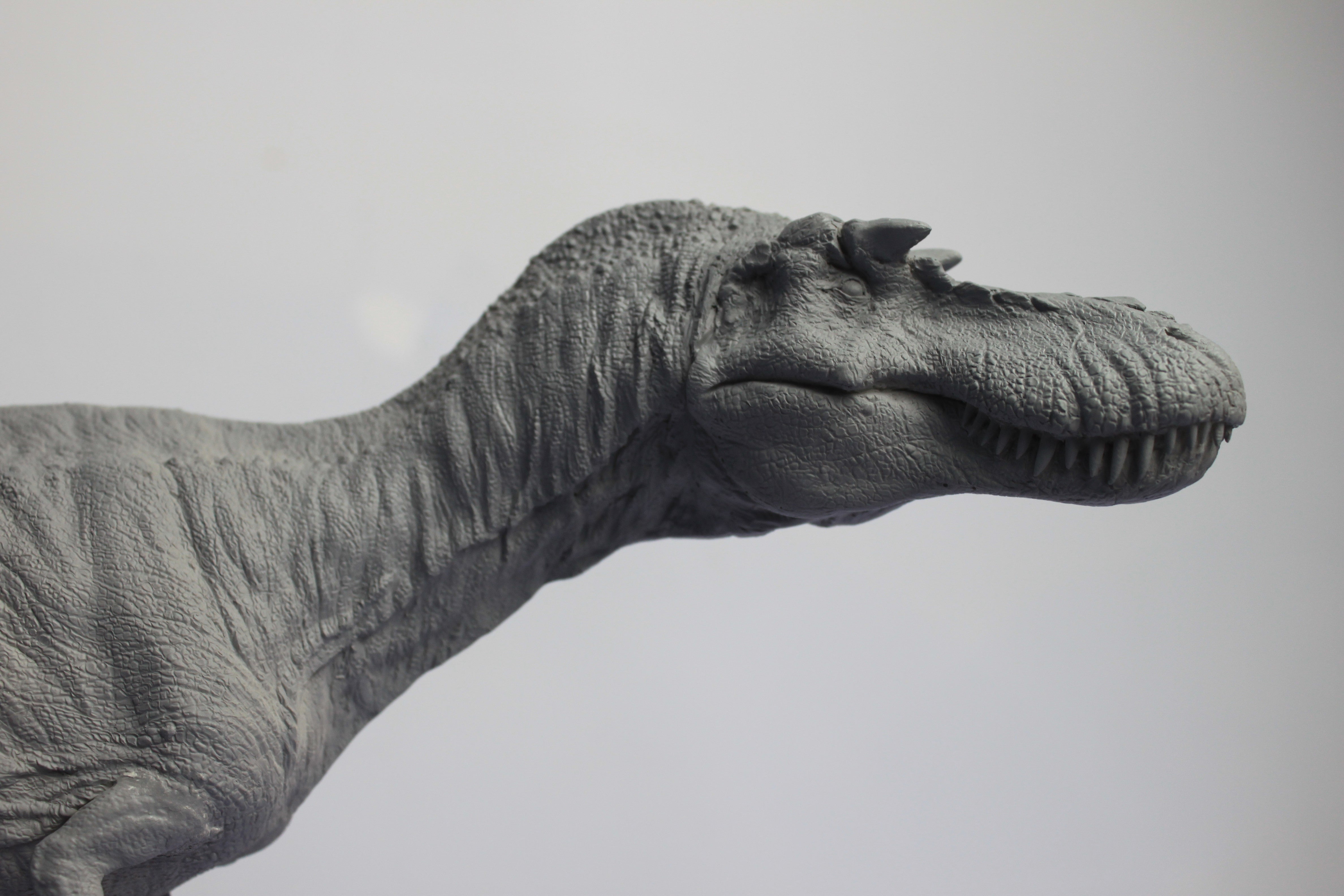 DM 1/20 Gorgosaurus Scene Unpainted Kit