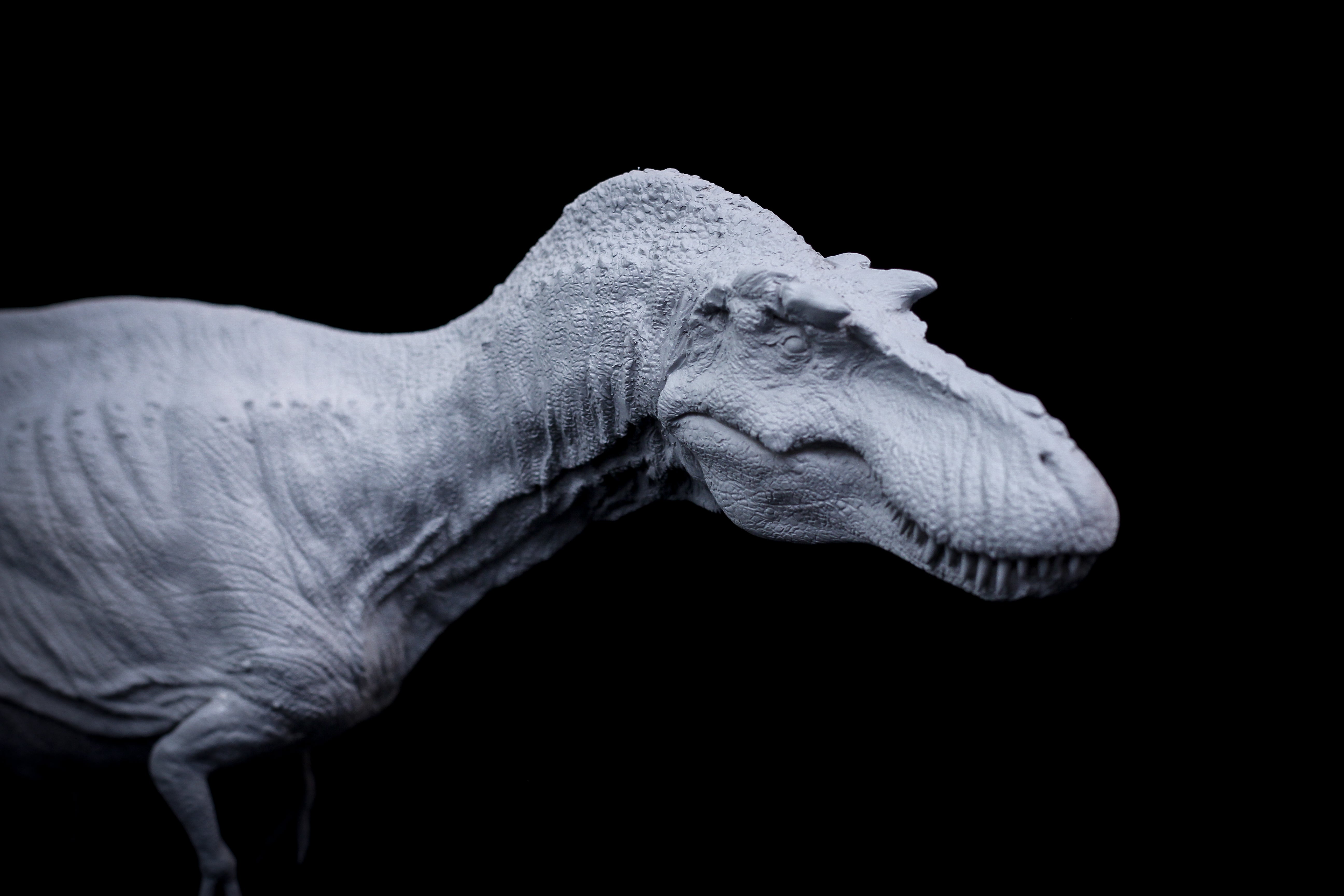 DM 1/20 Gorgosaurus Scene Unpainted Kit