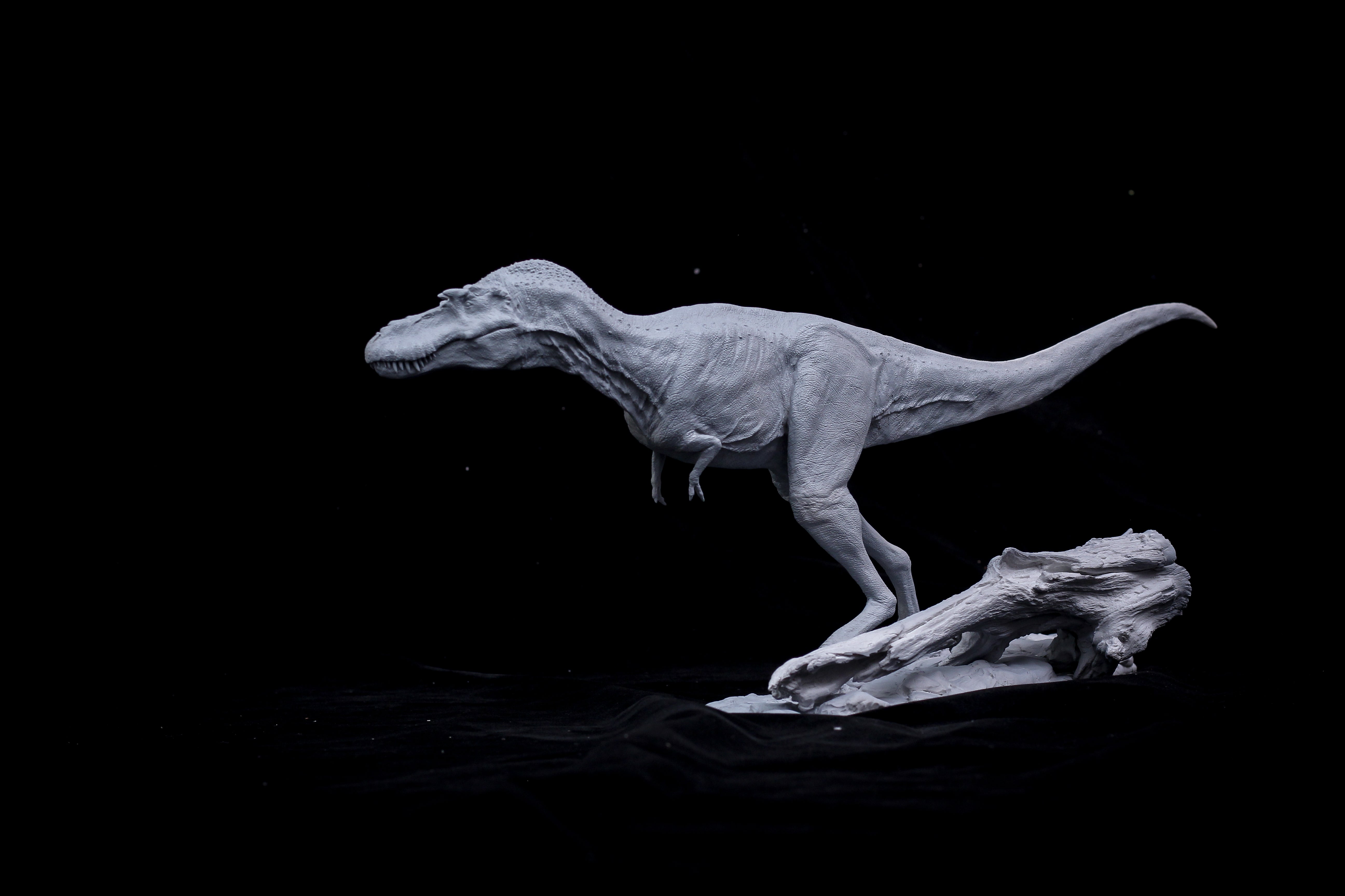 DM 1/20 Gorgosaurus Scene Unpainted Kit