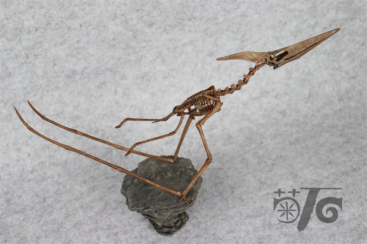 1/10 Flying Pteranodon Skeleton Model