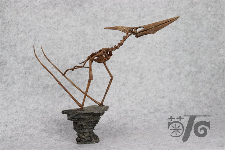1/10 Flying Pteranodon Skeleton Model