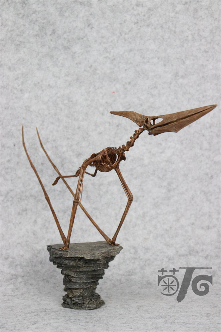 1/10 Flying Pteranodon Skeleton Model