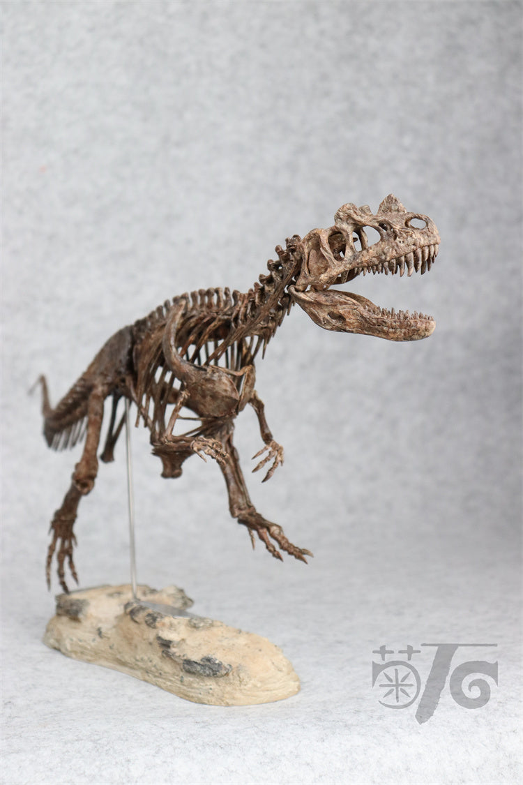 1/10 Ceratosaurus Skeleton Model