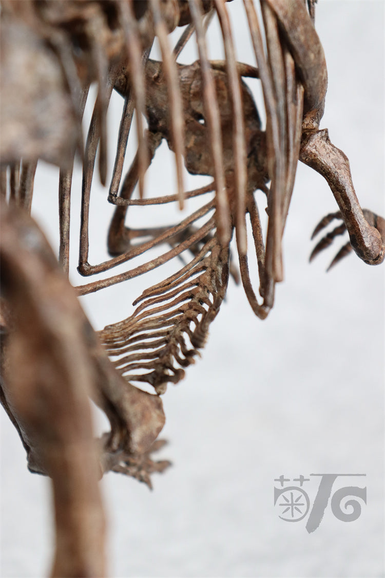 1/10 Ceratosaurus Skeleton Model