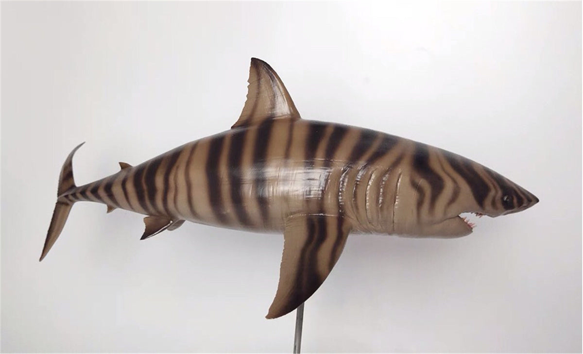 Rheic 1/35 Cretoxyrhina Model