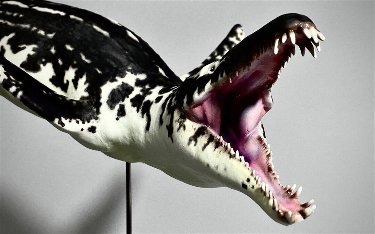 Rheic 1/35 Liopleurodon Model