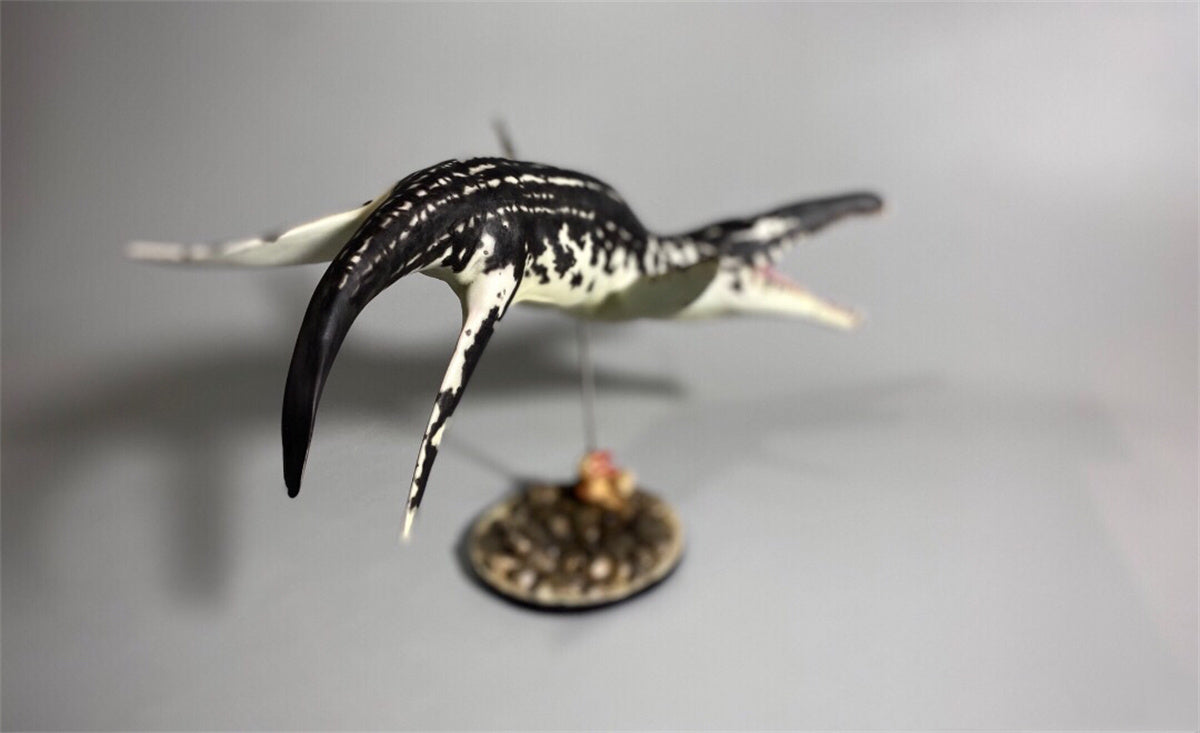 Rheic 1/35 Liopleurodon Model