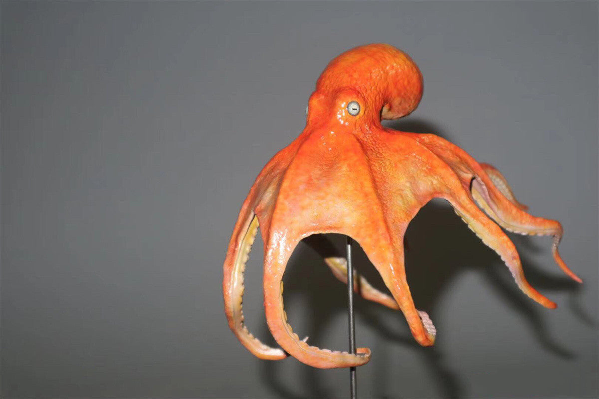 Rheic Giant Pacific Octopus Model