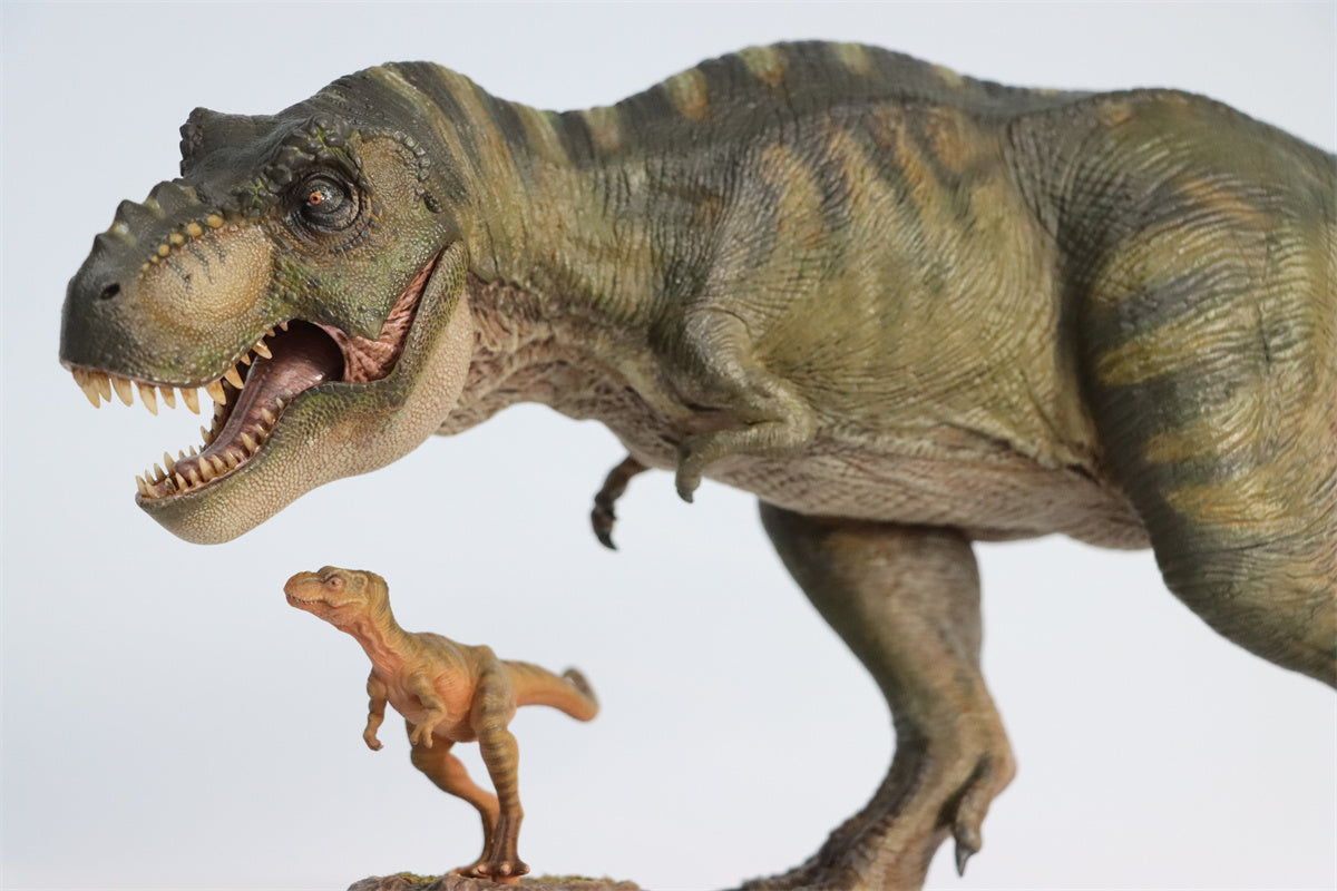JM Baby Tyrannosaurus Rex Model