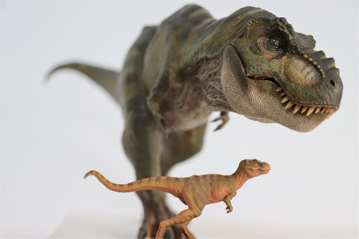 JM Baby Tyrannosaurus Rex Model