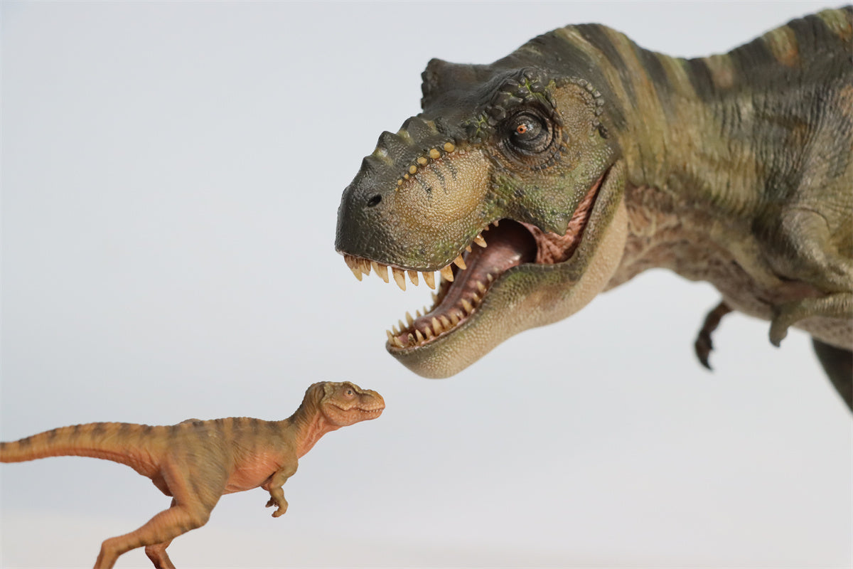 JM Baby Tyrannosaurus Rex Model