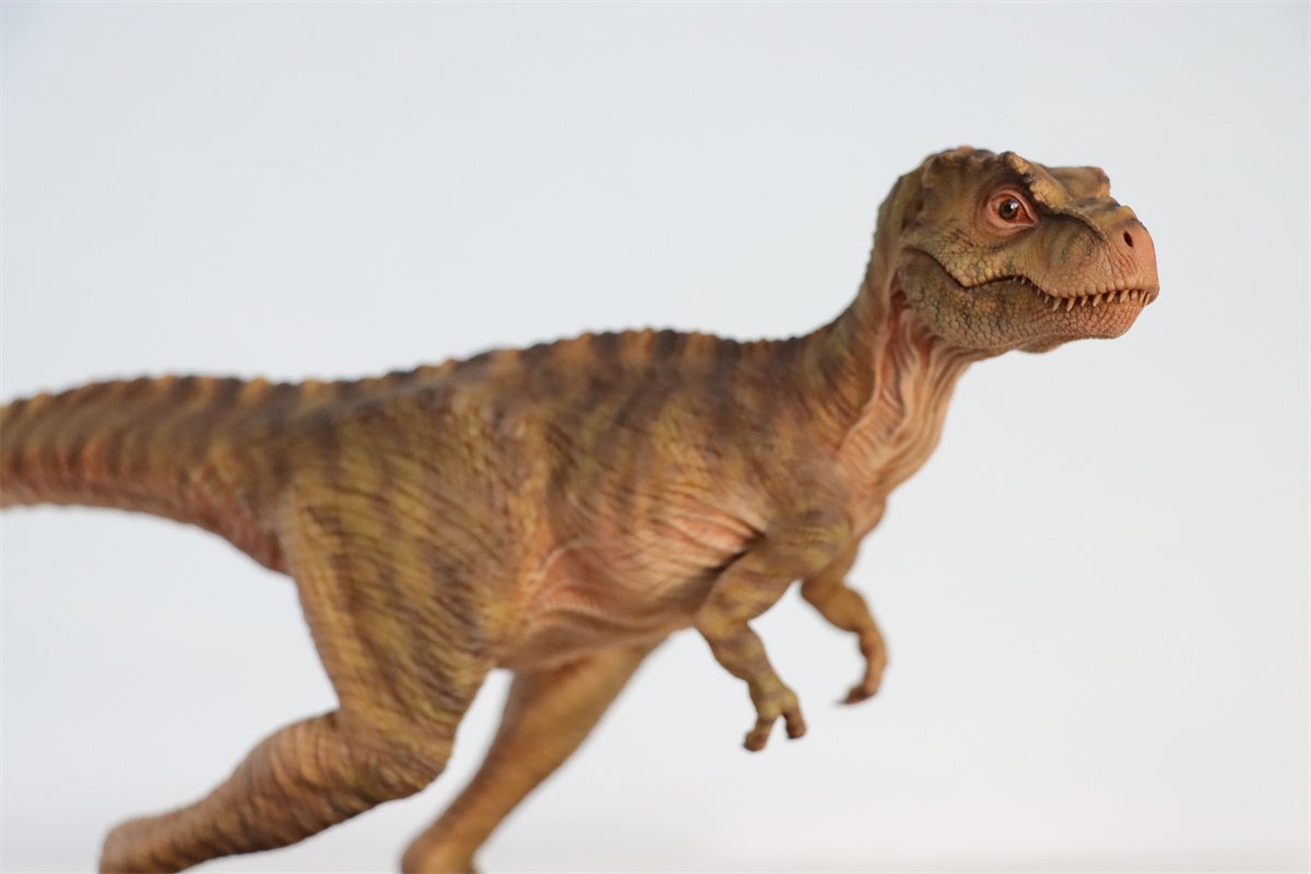 JM Baby Tyrannosaurus Rex Model