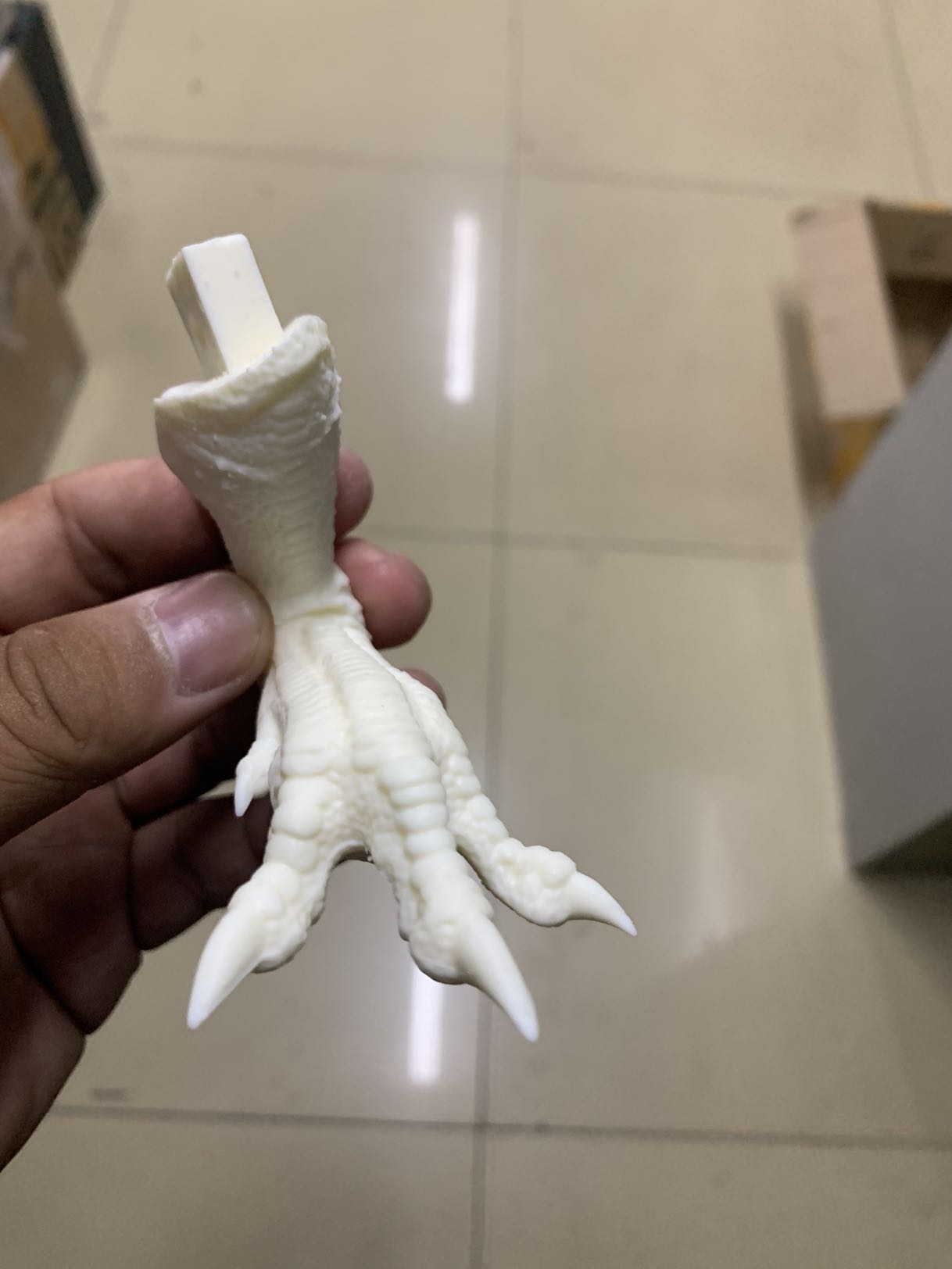 PASSION CHARGER 1/20 Mapusaurus Statue Unpainted Kit