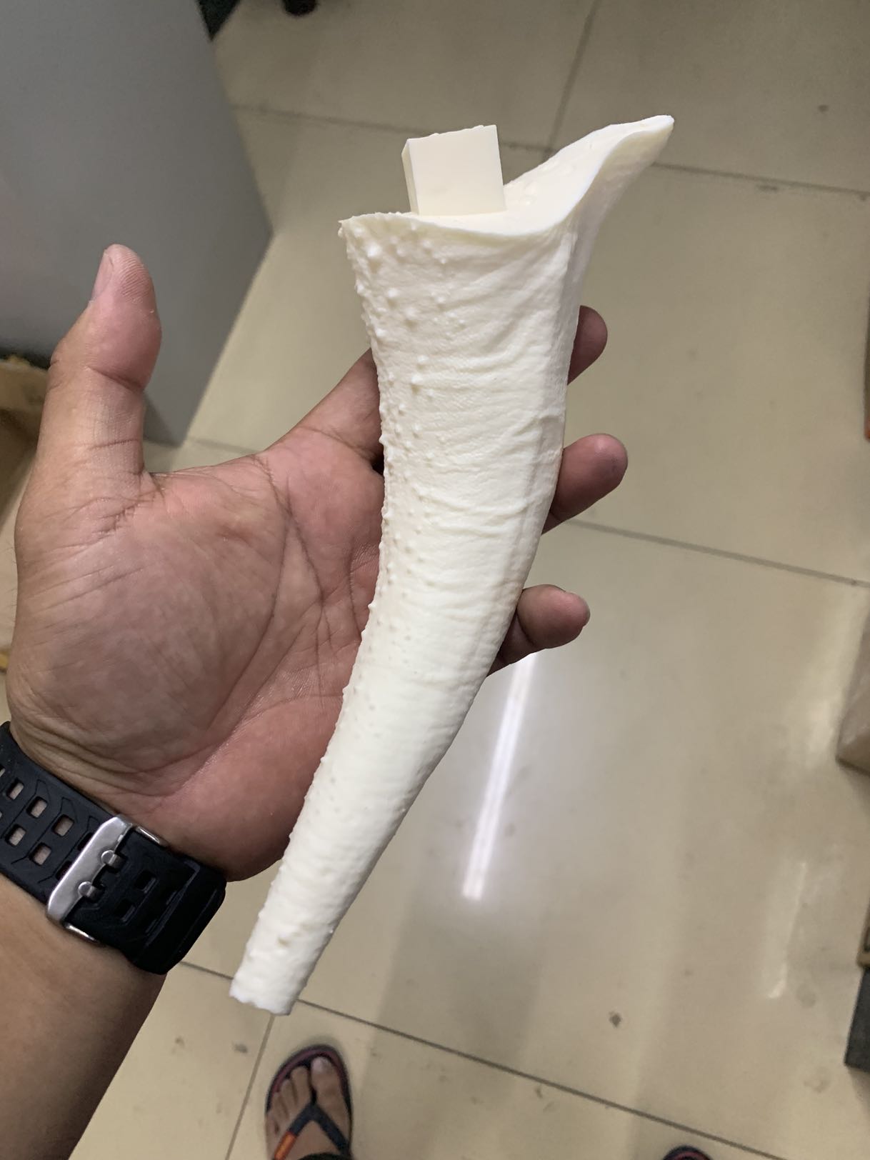 PASSION CHARGER 1/20 Mapusaurus Statue Unpainted Kit
