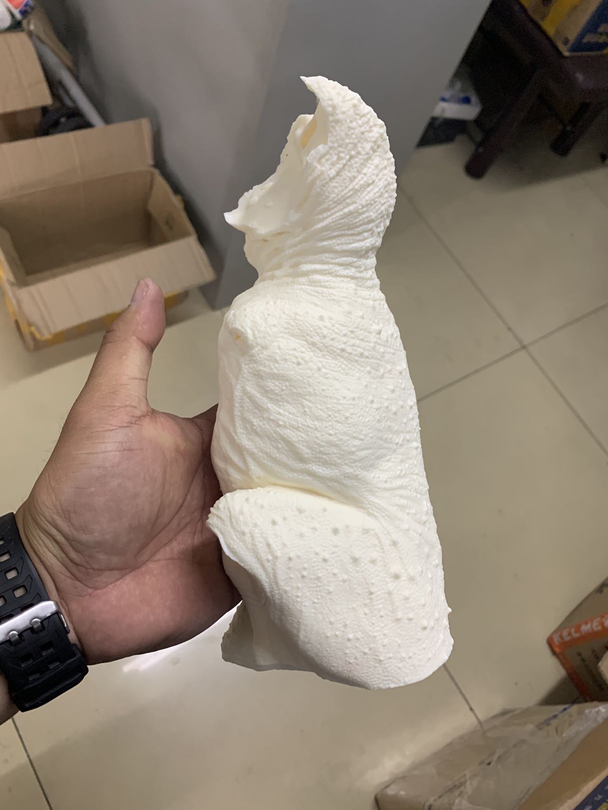 PASSION CHARGER 1/20 Mapusaurus Statue Unpainted Kit