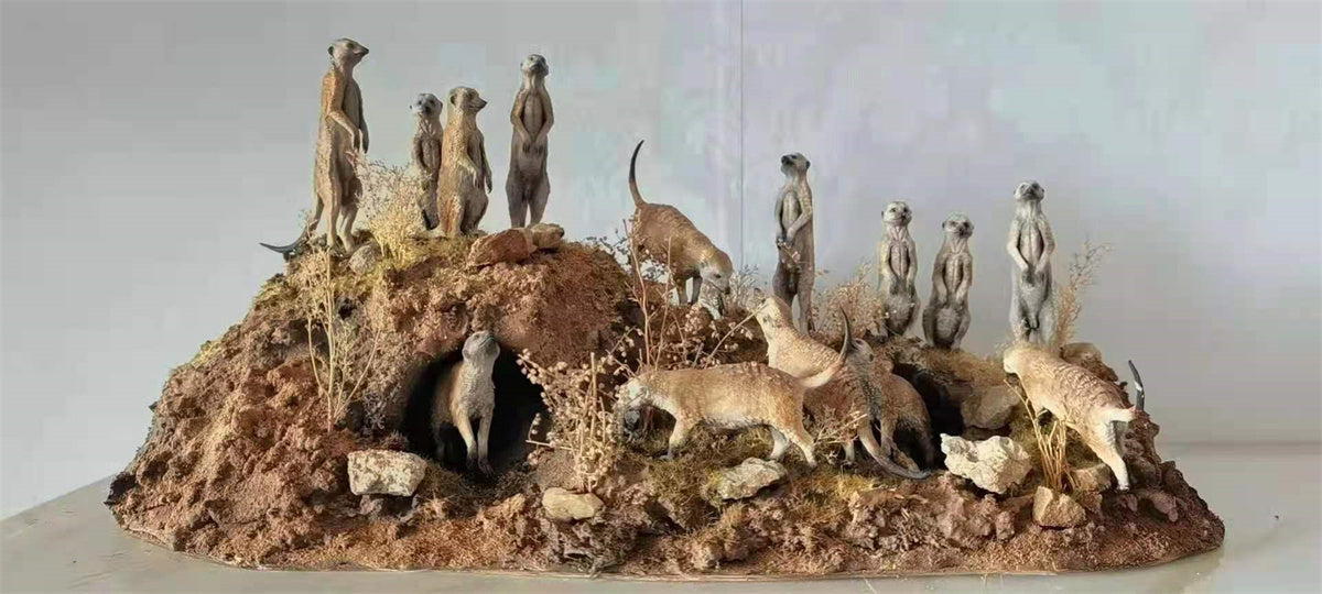 African Elf Meerkat Model