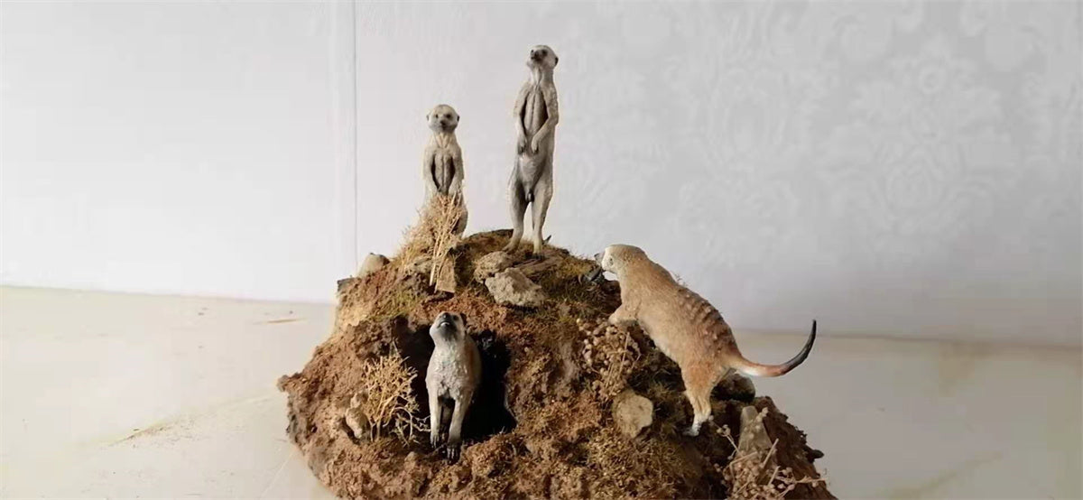 African Elf Meerkat Model